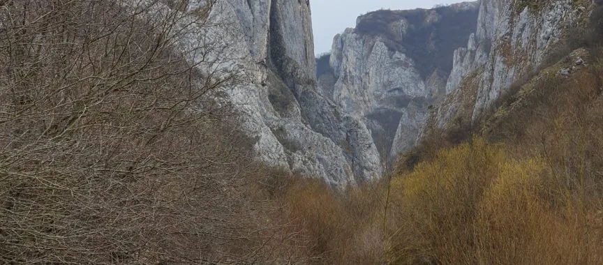 ANUNȚ INCENDII DE VEGETAȚIE USCATA – Primaria Comunei Petrestii de Jos