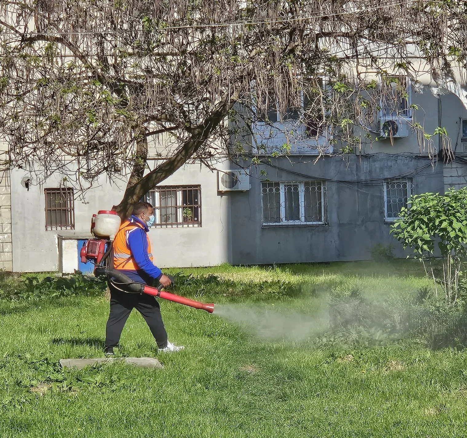 Au fost demarate activitățile de dezinsecție terestră