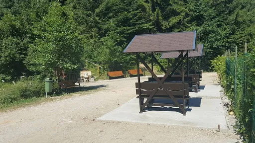 “CURĂȚENIA DE PRIMĂVARĂ ” – Primaria Municipiului Sacele