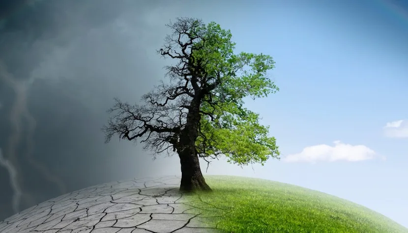 Impactul proiectat al schimbărilor climatice asupra indicatorilor agro-climatici pentru România – Primaria Municipiului Sacele